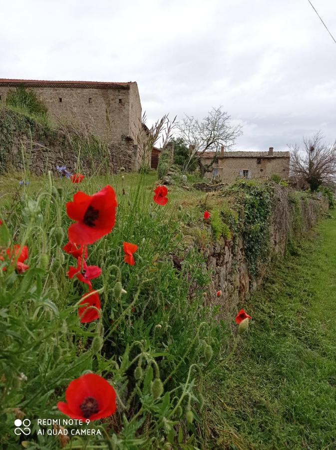 Ferme De Fenivou Villa Boulieu-les-Annonay Buitenkant foto