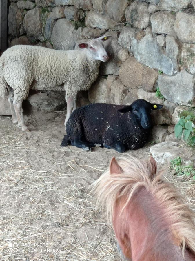 Ferme De Fenivou Villa Boulieu-les-Annonay Buitenkant foto